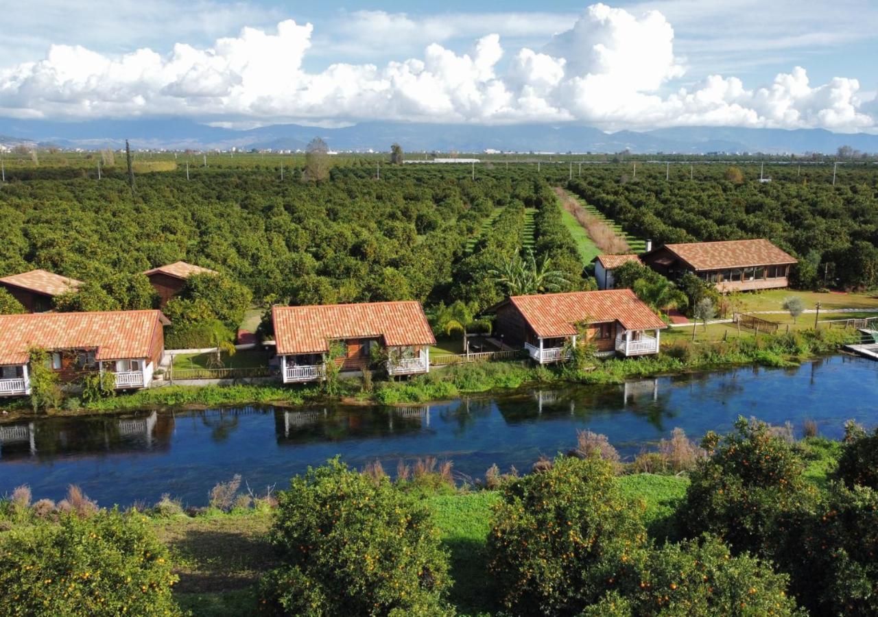 菲尼克 Turkuazkoey旅馆 外观 照片